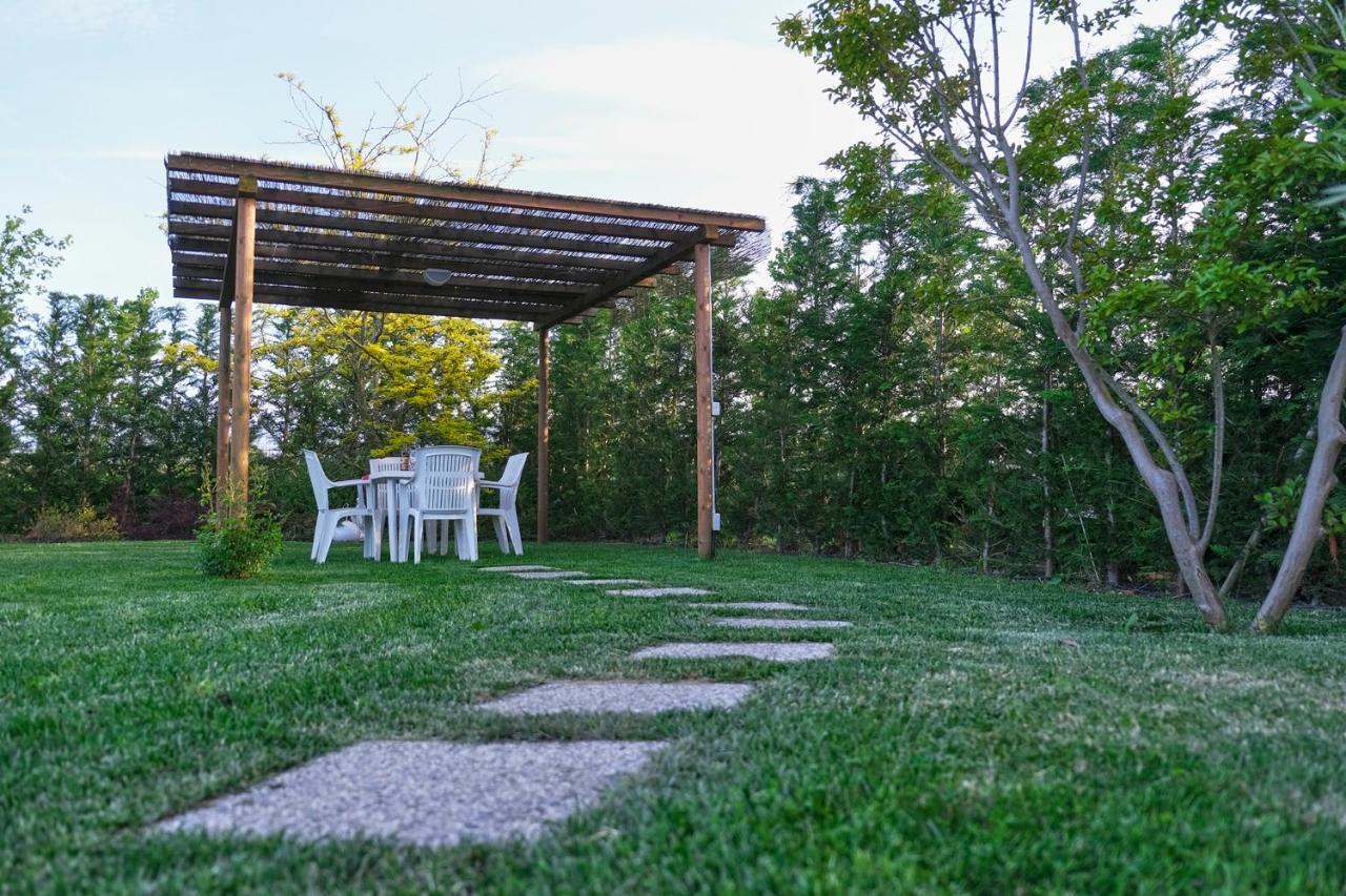 Codevigo Agriturismo Da Rosy מראה חיצוני תמונה