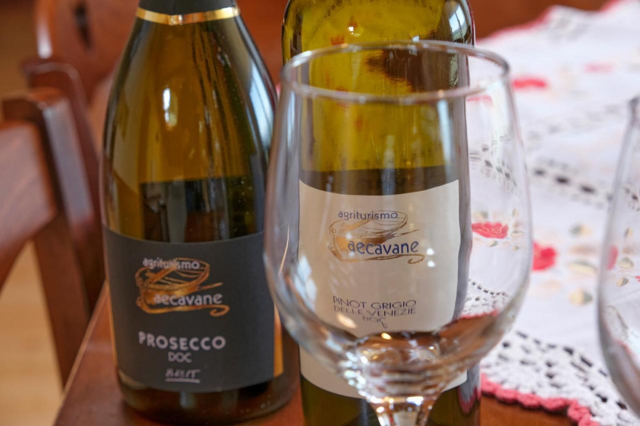 Codevigo Agriturismo Da Rosy מראה חיצוני תמונה